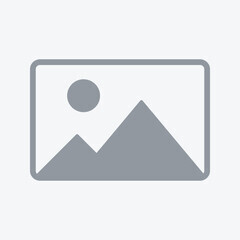 VG PLUS VEGAN GINGER CHICKEN